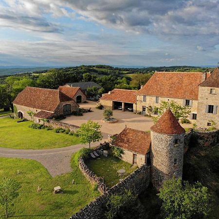 אלבינק Gite 8 Pers Du Chateau De Cantecor מראה חיצוני תמונה